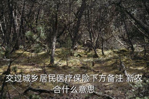 新農(nóng)合是什么意思,醫(yī)保,社保,新農(nóng)合是什么意思