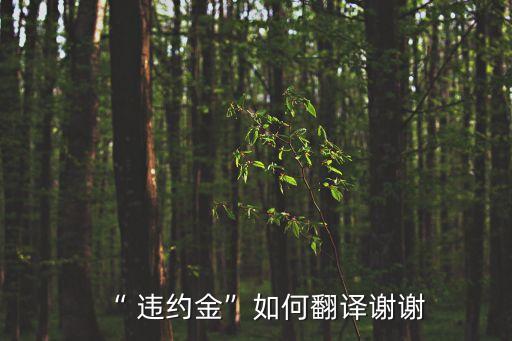 違約的英文怎么說,三方協(xié)議想違約該怎么說