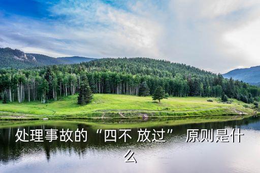 處理事故的“四不 放過” 原則是什么