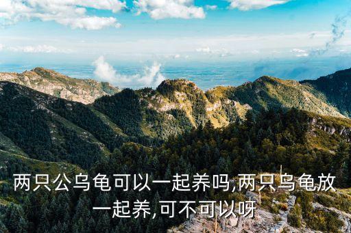 兩只公烏龜可以一起養(yǎng)嗎,兩只烏龜放一起養(yǎng),可不可以呀
