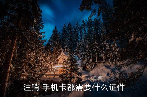  注銷 手機卡都需要什么證件