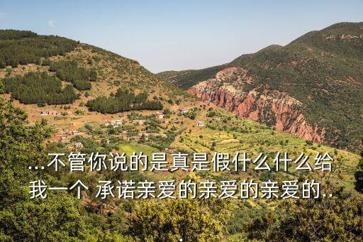 ...不管你說的是真是假什么什么給我一個 承諾親愛的親愛的親愛的...