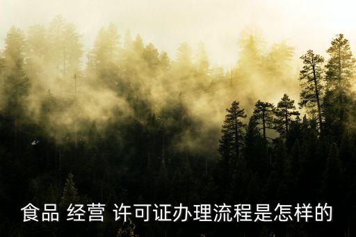 食品 經營 許可證辦理流程是怎樣的