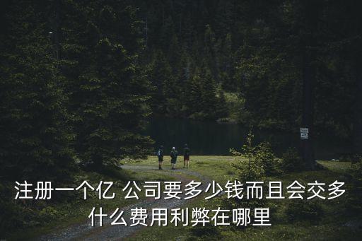 注冊一個(gè)億 公司要多少錢而且會(huì)交多什么費(fèi)用利弊在哪里