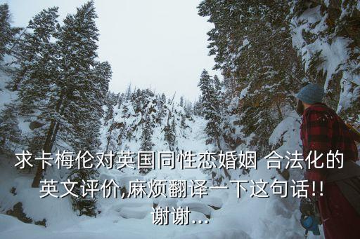 求卡梅倫對(duì)英國(guó)同性戀婚姻 合法化的 英文評(píng)價(jià),麻煩翻譯一下這句話!!謝謝...