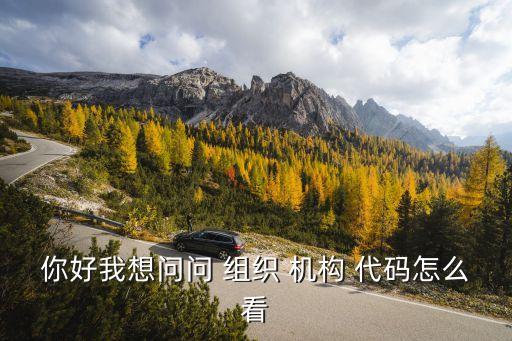 你好我想問問 組織 機(jī)構(gòu) 代碼怎么看