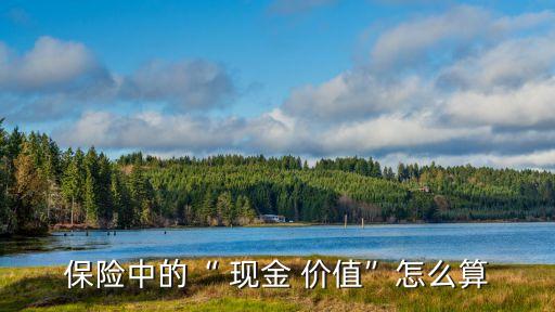 現(xiàn)金價值