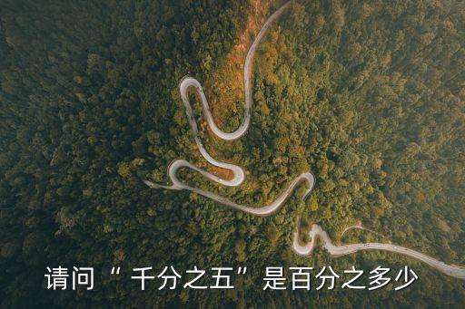 請(qǐng)問“ 千分之五”是百分之多少