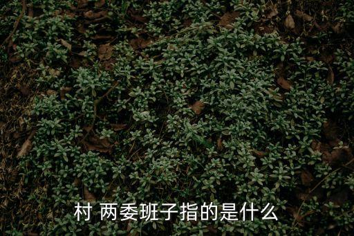 村支兩委