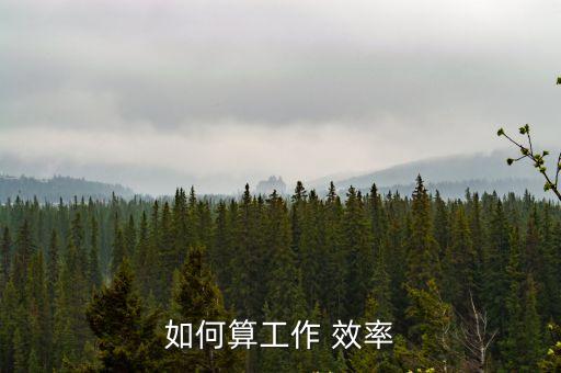 效率怎么算,滑輪組的機械效率怎么算