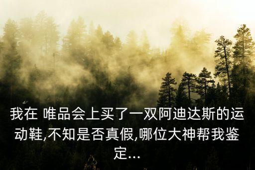 唯品會(huì)假鞋名單