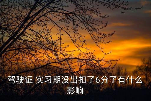 實(shí)習(xí)期扣6分會(huì)怎么樣,學(xué)法減分掃一掃出答案app