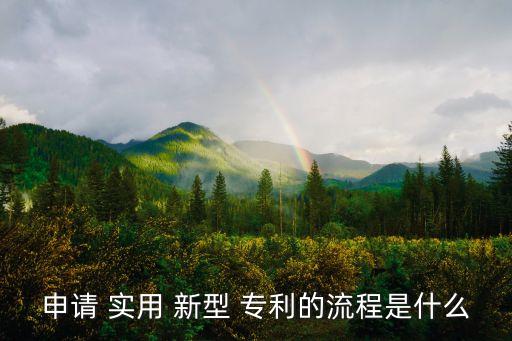 申請 實用 新型 專利的流程是什么