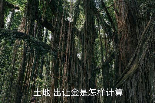 土地使用權(quán)出讓金,國有土地使用權(quán)出讓金