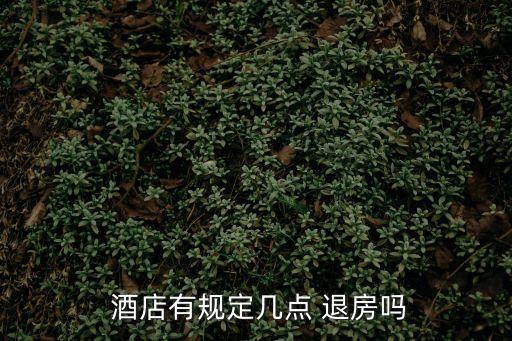  酒店有規(guī)定幾點(diǎn) 退房嗎