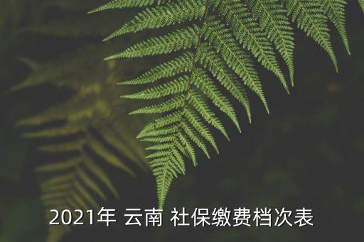 云南社保