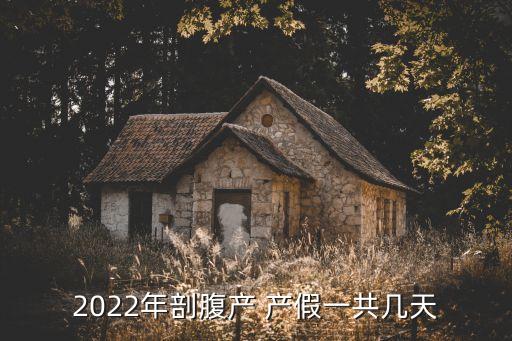 破腹產(chǎn)產(chǎn)假多少天,廣東省破腹產(chǎn)產(chǎn)假多少天