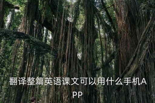  翻譯整篇英語課文可以用什么手機(jī)APP