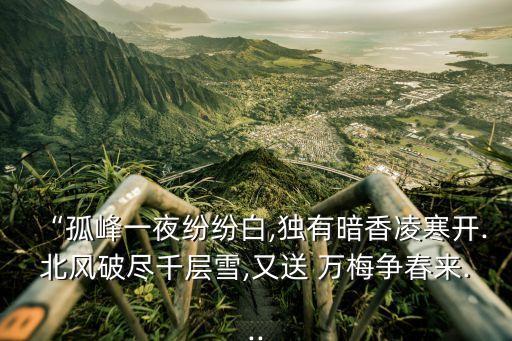 萬梅,西梅荷葉汁固體飲料可以減肥嗎