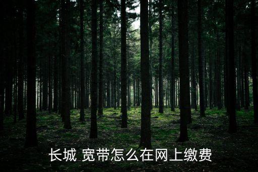  長城 寬帶怎么在網(wǎng)上繳費