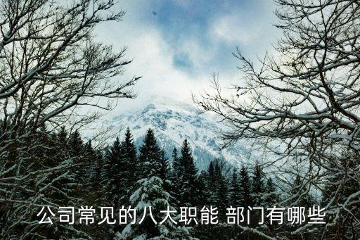 公司部門有哪些,裝修公司部門有哪些