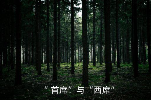 “ 首席”與“西席”
