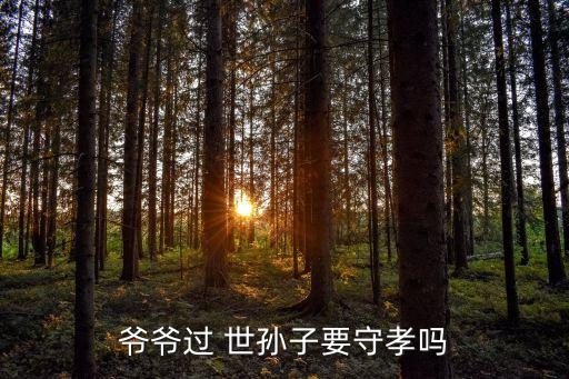 爺爺過(guò) 世孫子要守孝嗎