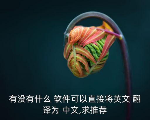 什么軟件能把英語翻譯成中文,什么英語翻譯軟件最好用最準確