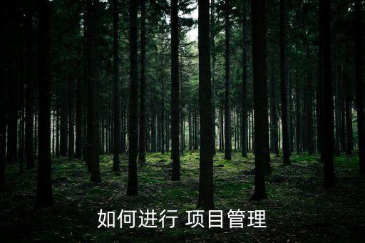 企業(yè)項(xiàng)目管理,國有企業(yè)項(xiàng)目管理