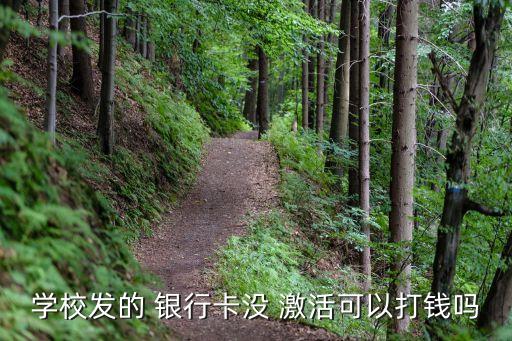 銀行卡沒激活能打錢進去嗎,學校發(fā)的工商銀行卡沒激活能打錢進去嗎