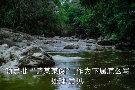 處理意見怎么寫,不良事件處理意見怎么寫