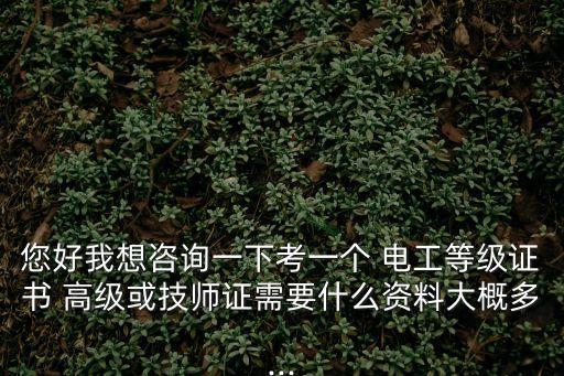 您好我想咨詢一下考一個 電工等級證書 高級或技師證需要什么資料大概多...