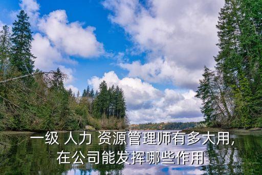 一級人力資源管理師