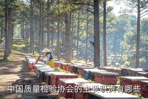 中國(guó)質(zhì)量檢驗(yàn)協(xié)會(huì)的主要職責(zé)有哪些