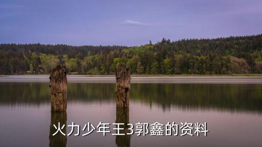 火力少年王3郭鑫的資料