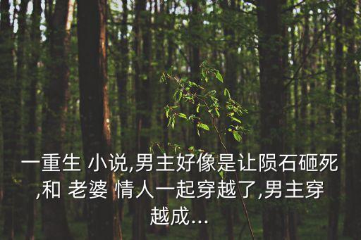 一重生 小說,男主好像是讓隕石砸死,和 老婆 情人一起穿越了,男主穿越成...