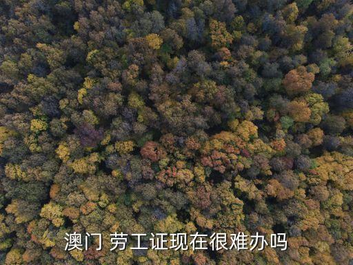 澳門 勞工證現(xiàn)在很難辦嗎