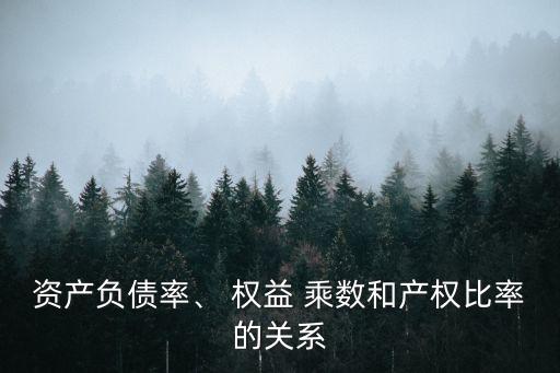資產(chǎn)負債率、 權(quán)益 乘數(shù)和產(chǎn)權(quán)比率的關(guān)系