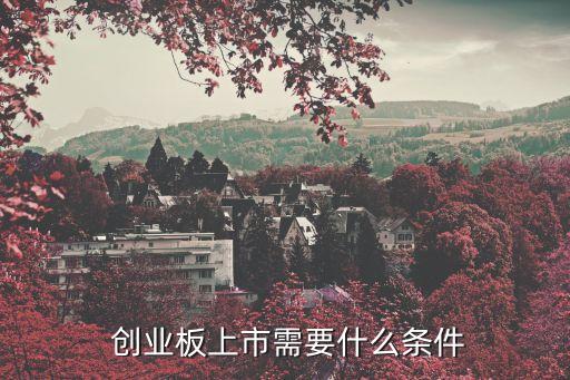  創(chuàng)業(yè)板上市需要什么條件