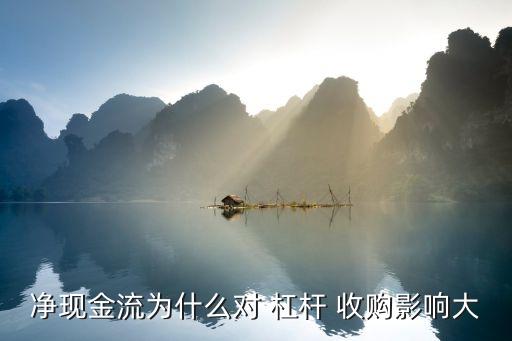 杠桿收購(gòu)