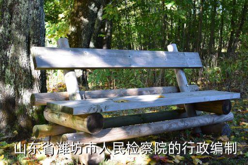  山東省濰坊市人民檢察院的行政編制