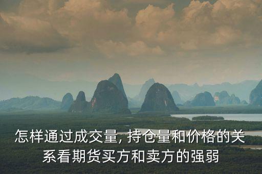 持倉(cāng)分析,為什么不能查看持倉(cāng)分析