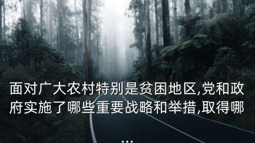 面對廣大農(nóng)村特別是貧困地區(qū),黨和政府實施了哪些重要戰(zhàn)略和舉措,取得哪...