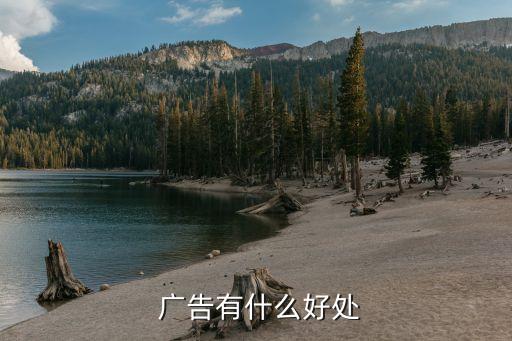 廣告的好處,一個(gè)創(chuàng)意廣告的好處