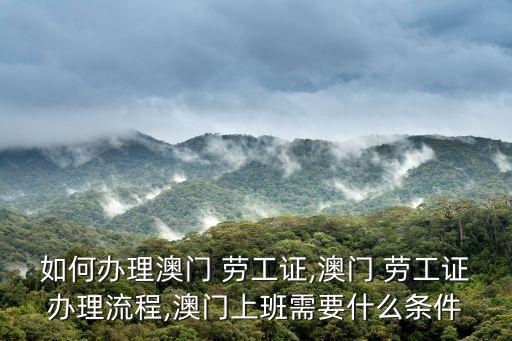 如何辦理澳門 勞工證,澳門 勞工證辦理流程,澳門上班需要什么條件
