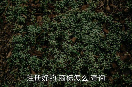 注冊(cè)好的 商標(biāo)怎么 查詢