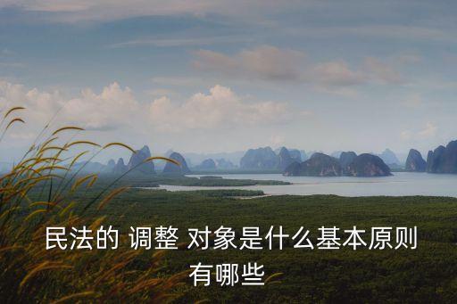  民法的 調(diào)整 對(duì)象是什么基本原則有哪些