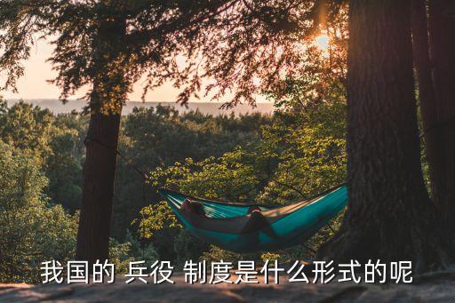 我國的 兵役 制度是什么形式的呢