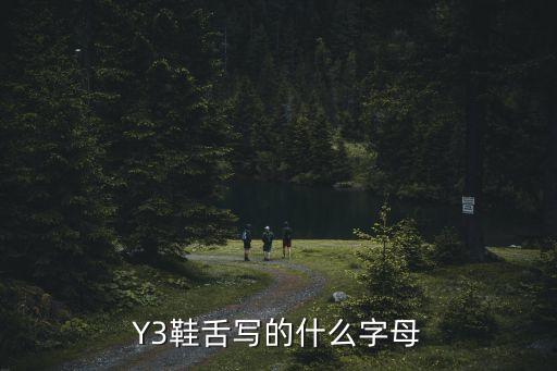 y3鞋