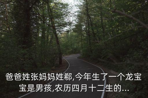 張全會